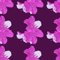 Vector Pattern of Dwarf Korean Azalea