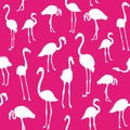 Vector pattern with flamingo bird silhouette. Royalty Free Stock Photo