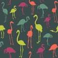 Vector pattern with flamingo bird silhouette. Royalty Free Stock Photo
