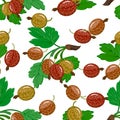 Vector pattern of gooseberries.