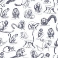 Vector pattern with monkeys of South America