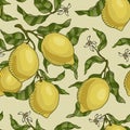 Vector pattern with lemon branches. Royalty Free Stock Photo