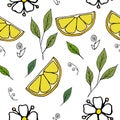 Vector pattern with lemons, leaves and flowers. Endless texture for design projects. Hand drawn illustration, on white background Royalty Free Stock Photo