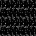 Seamless background of walking cartoon flamingos