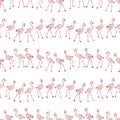 Seamless background of outlines cartoon flamingos walking in rows