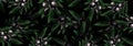 Vector pattern with ripe black olives on dark Background. design for banner olive oil, natural cosmetics, wrapping paper