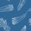 Vector pattern of sketches of birds feathers