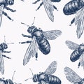 Seamless background of sketches bumblebees