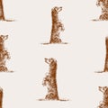 Seamless background of sketches cute red trained dachshund