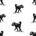 Seamless background of sketches walking black shaggy dog