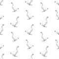 Seamless background of sketches walking white geese