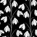 Vector pattern of white snowdrops on black background