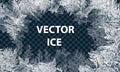 Vector Patterns Made by the Frost. Blue Winter Background for Christmas Designs. Typographic Label for Xmas Holiday