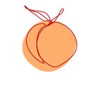 Peach in Continuous Line Drawing. Sketchy Single Apricot with Editable Stroke. Outline Simple Artwork with Editable Stroke. Vector