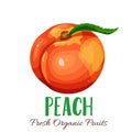Vector peach illustration