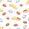 Vector Peanut seamless pattern. Color cartoon flat illustration of nuts on white background.