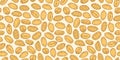 Vector peanut seeds seamless pattern