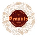 Vector peanuts label, peanut seeds and shells icons Royalty Free Stock Photo
