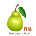 Vector pear illustration