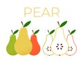 Vector of Pear and sliced half of Pear on white background