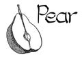 Vector Pear Vegetarian healthy treating hand drawn illustration. Use for bar, cocktail, flyer, banner, store lifestyle