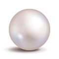 Vector pearl isolated on white background. Shiny oyster ball for luxury accessories