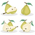 Vector pears. Whole and cut in half green pear fruits, collection of vector illustrations on white background. Royalty Free Stock Photo