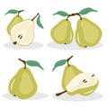 Vector pears. Whole and cut in half green pear fruits, collection of vector illustrations on white background. Royalty Free Stock Photo