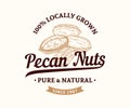 Vector pecan nut logo