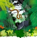 Vector peccary and Boa python in Jungle Rainforest