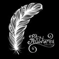 Vector Peerless Decorative Feather