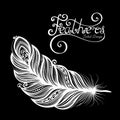 Vector Peerless Decorative Feather