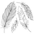 Vector Peerless Decorative Feather