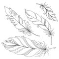 Vector Peerless Decorative Feather