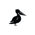 Vector pelican icon logo design concept Royalty Free Stock Photo