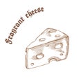 Vector pencil hand drawn illustration of cheese piece with label