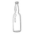 Vector Penciling Sketch Beer Bottle