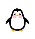 Vector penguin bird baby