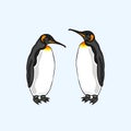 Vector Penguin family. Love. Family of emperor penguin