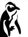 Vector penguin figure