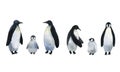 Vector penguins. Collection of adults penguins with cute baby penguins. Watercolor hand drawn illustration isolated on