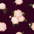 Vector peonies. Seamless pattern of light pink flowers. Bouquets of flowers on burgundy background. Template for floral decoration