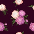 Vector peonies. Seamless pattern of pink-lilac and light pink flowers. Bouquets of flowers on a burgundy background. Template for