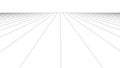 Vector perspective grid. Grid of longitudinal lines. Detailed lines on white background