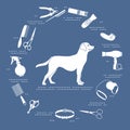 Vector Pet Animal Dog Grooming Shearing Labrador Royalty Free Stock Photo