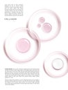 Petri Dish with Beauty Cream or Gel 3D Illustration under sunlight for Beauty and Healthcare Poster, Product Packaging, or