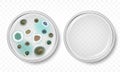 Vector petri dish with molds