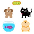 Vector pets illustration Cute set White background Cat, dog, fish, hamster Flat design