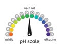 Vector ph scale of acidic,neutral and alkaline value chart Royalty Free Stock Photo