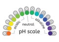 Vector ph scale measurement